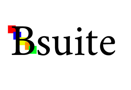 Bsuite